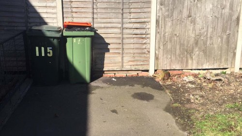 Standard skip container for waste management